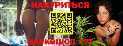 прущие грибы Будённовск