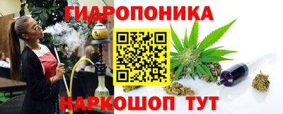 прущие грибы Будённовск