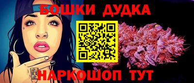 прущие грибы Будённовск