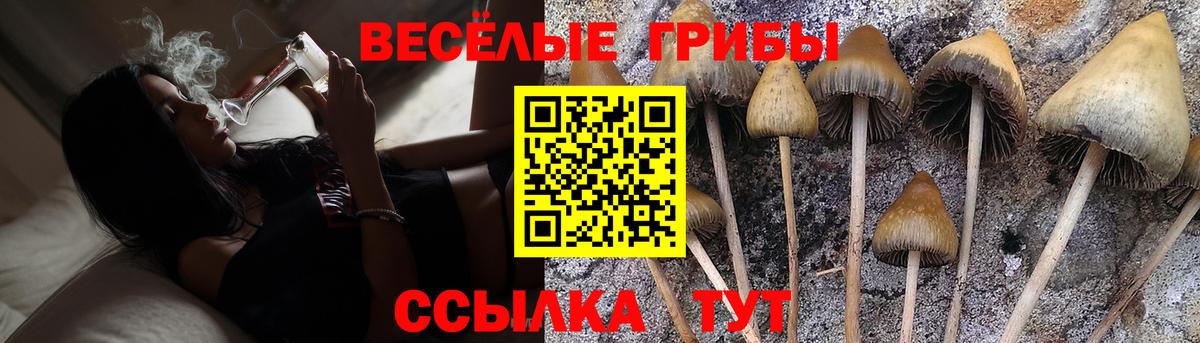 Псилоцибиновые грибы MAGIC MUSHROOMS  Вход с VPN  Якутск 