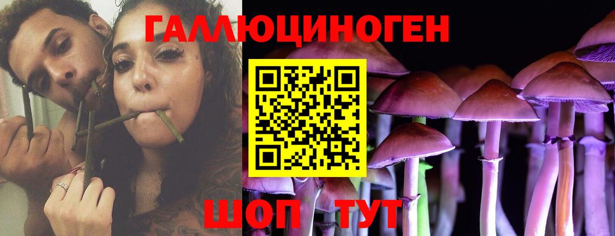 Галлюциногенные грибы Psilocybe Якутск